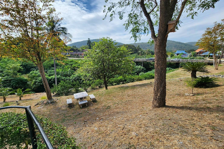 Scenery 18