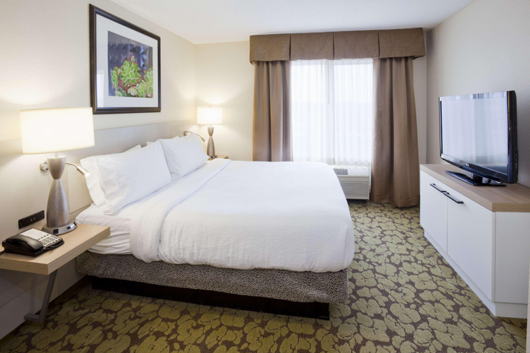 Bedroom 4, Hilton Garden Inn Minneapolis Eagan, Dakota