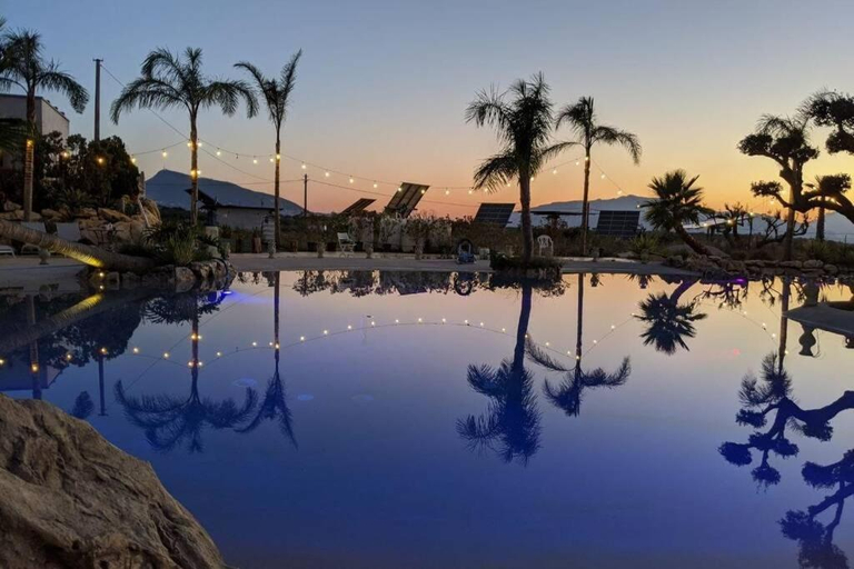 Swimming pool 2, Holiday in Paradise, Palermo