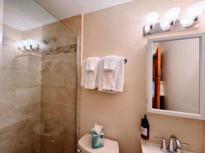 Bathroom 3, The Copley House, Boston
