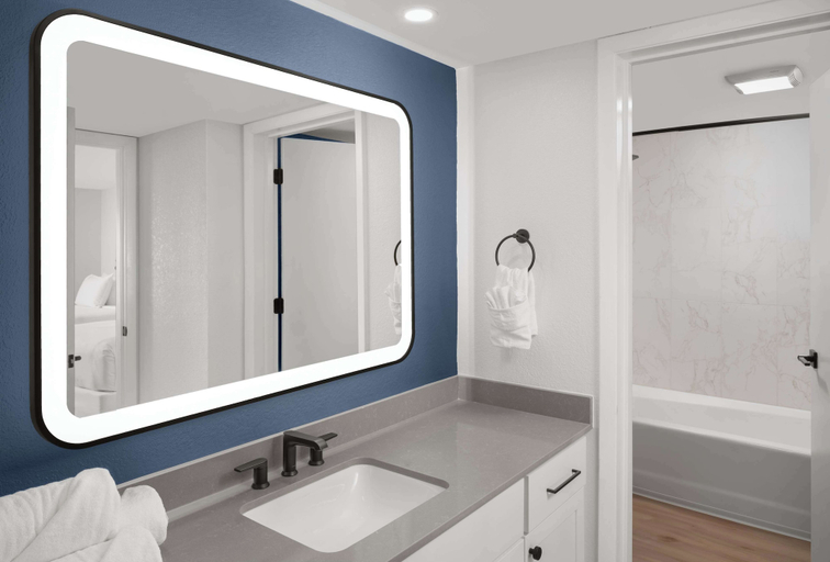 Bathroom 5, Saddlebrook Resort, Pasco