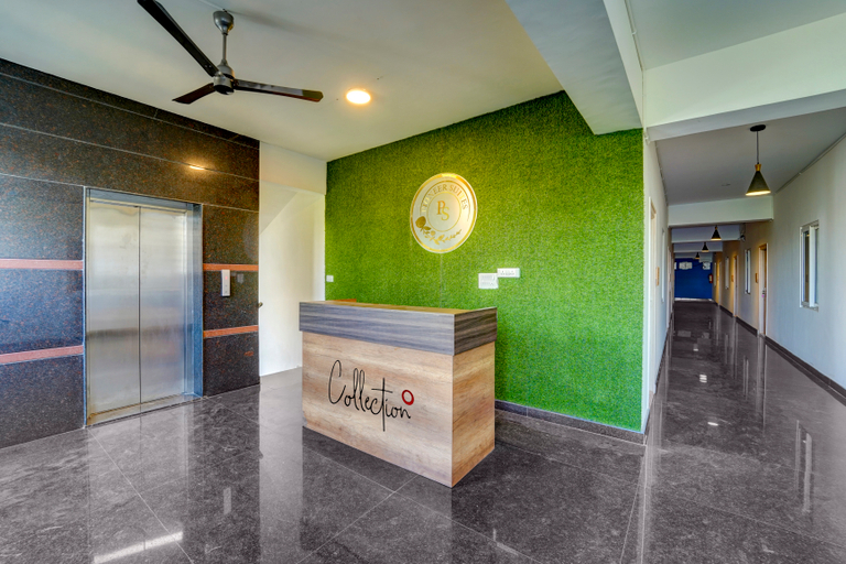 Public Area 5, Super Townhouse Sarjapura Road Kasavanahalli, Bangalore