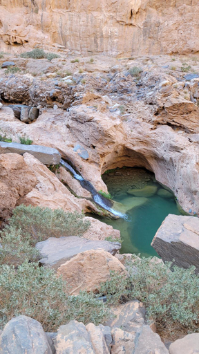 4, Tigmi Bulbul, Guelmim