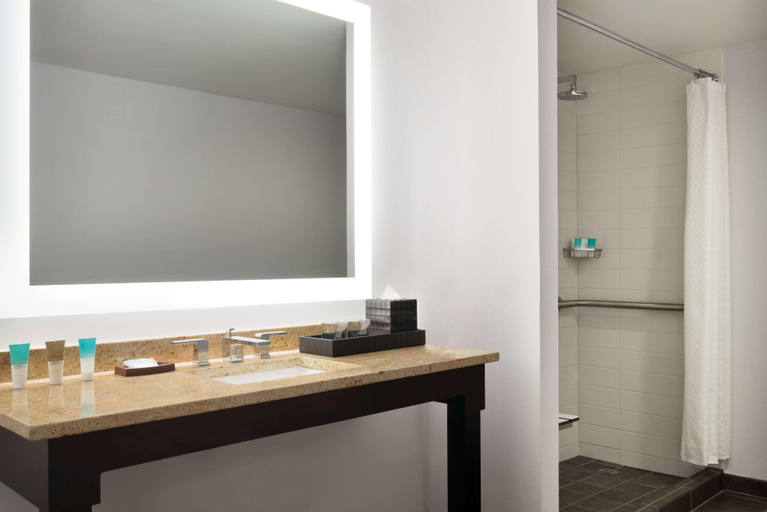 Bathroom 4, Hyatt Regency Schaumburg, Cook