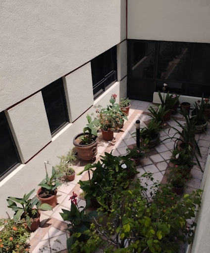 Public Area 2, Hotel Ambar, Mexico City