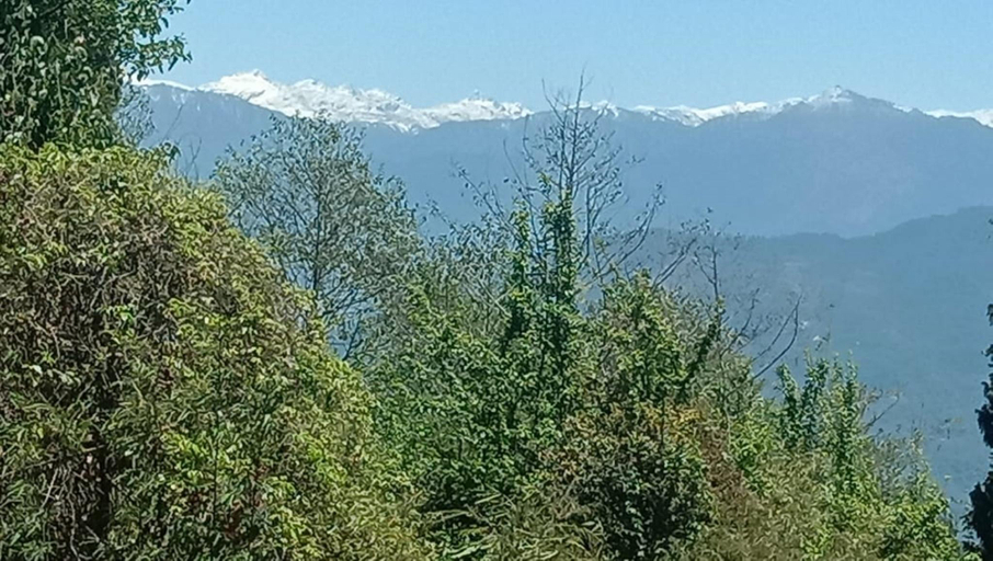 Others 3, Goroomgo Pink Floyed Homestay Kalimpong , Darjiling