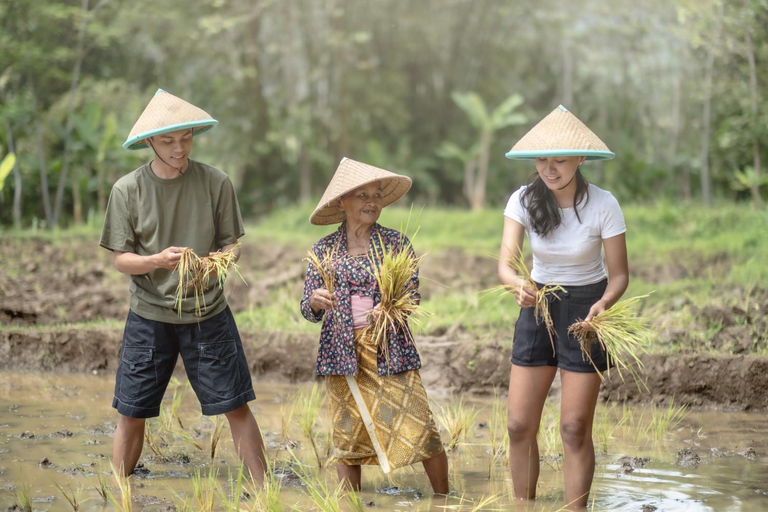 Others 4, Homestay Bu Enik Borobudur by BToC, Magelang