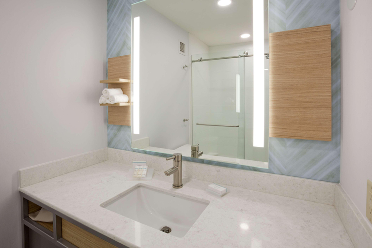 Bathroom 5, Hilton Garden Inn Minneapolis Eagan, Dakota
