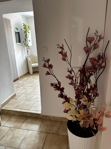 Public Area 2, SG Apartmanovy dum Horice, Jičín
