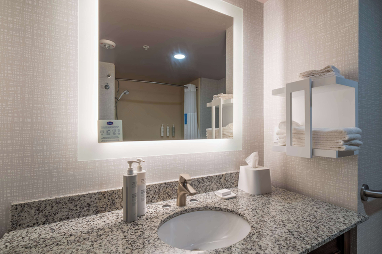 Bathroom 4, Hampton Inn Dahlgren, King George