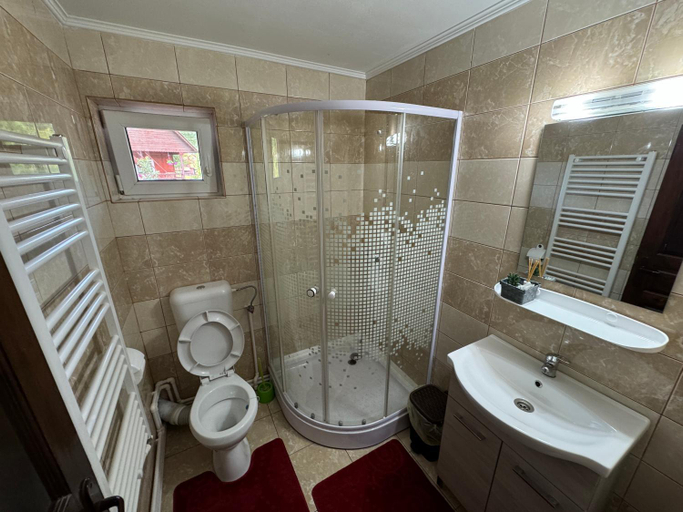Bathroom 3, Casa Natalia Raisa Arieseni, Arieseni