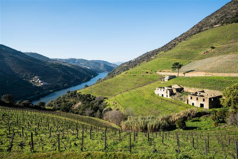 Others 2, Wine Tourism - Quinta dos Murcas, Peso da Régua