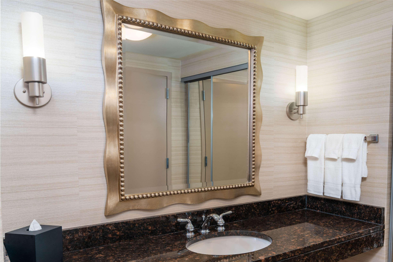 Bathroom 4, Homewood Suites by Hilton Hanover Arundel Mills, Anne Arundel