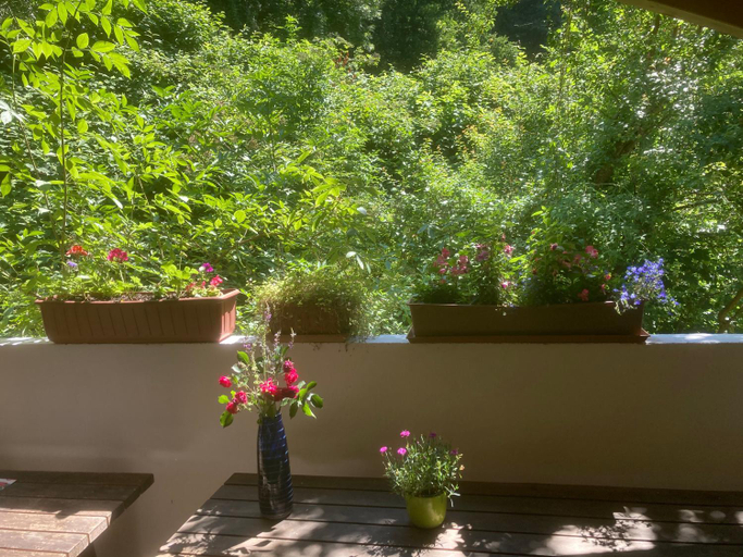 Others 3, Pension Zur Freiheit, Passau