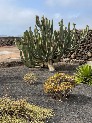 Others 2, Villa Timanfaya, Las Palmas
