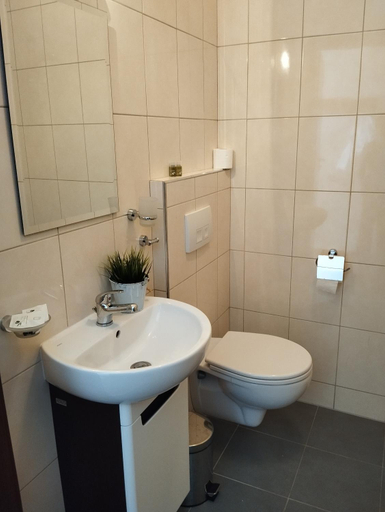 Bathroom, Carpatia, Rzeszów