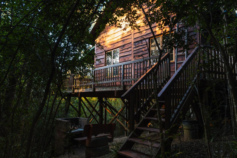 Exterior & Views 2, Moon Shine on Whiskey Creek, Eden