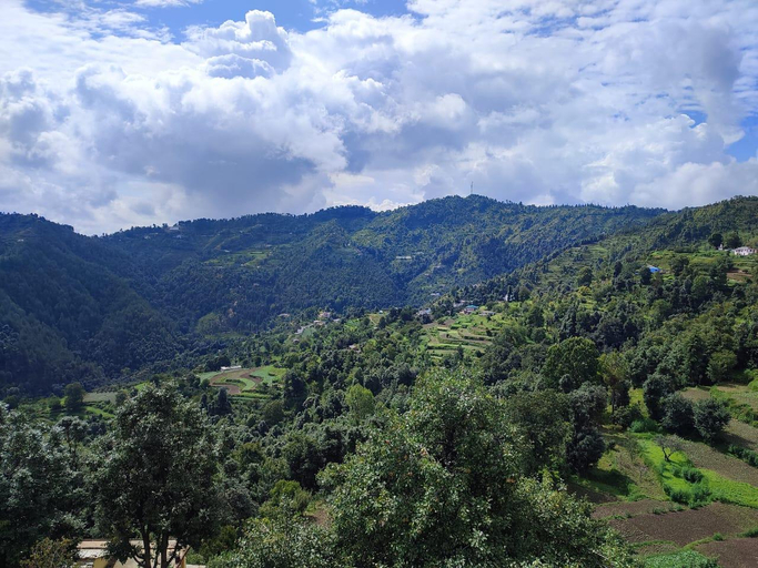 Others 2, Kennys Kottage, Nainital