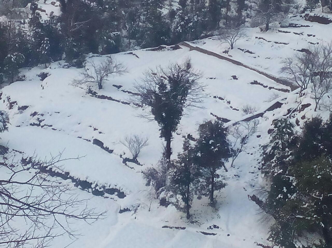 Others 1, Kennys Kottage, Nainital