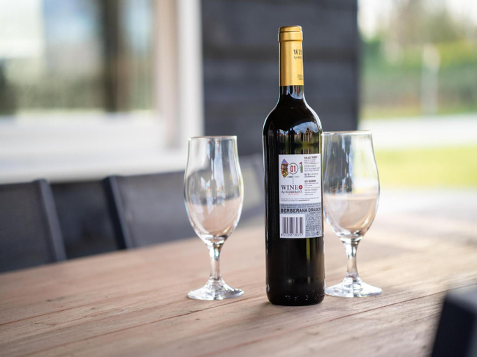 Food & Drinks 4, holiday home in Scherpenisse with sauna, Tholen