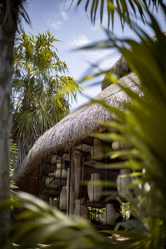 Exterior & Views 2, The Radhoo Adults Only, Cozumel