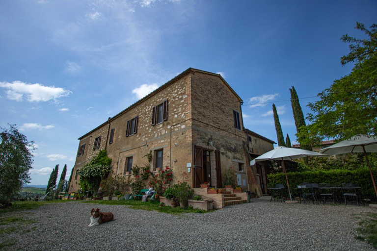 Others 5, Agriturismo Biofattoria l'Upupa, Siena