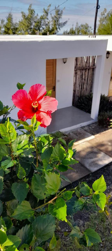 Others 2, Villa Ti Zil