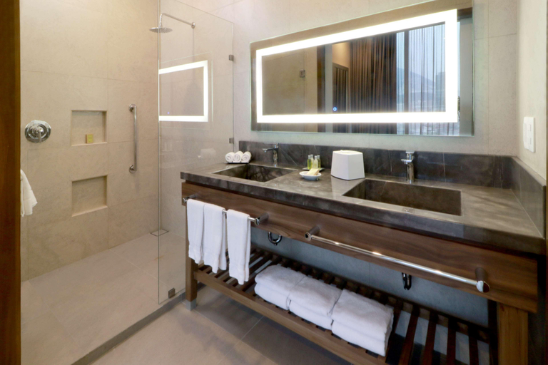 Bathroom 3, Hilton Garden Inn Monterrey Obispado, Monterrey