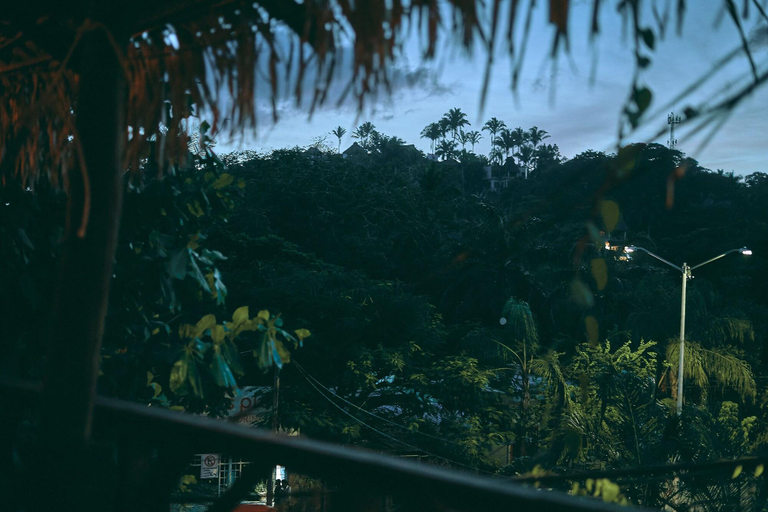 Exterior & Views 2, Blue Pepper Beds Sayulita - Hostel, Compostela