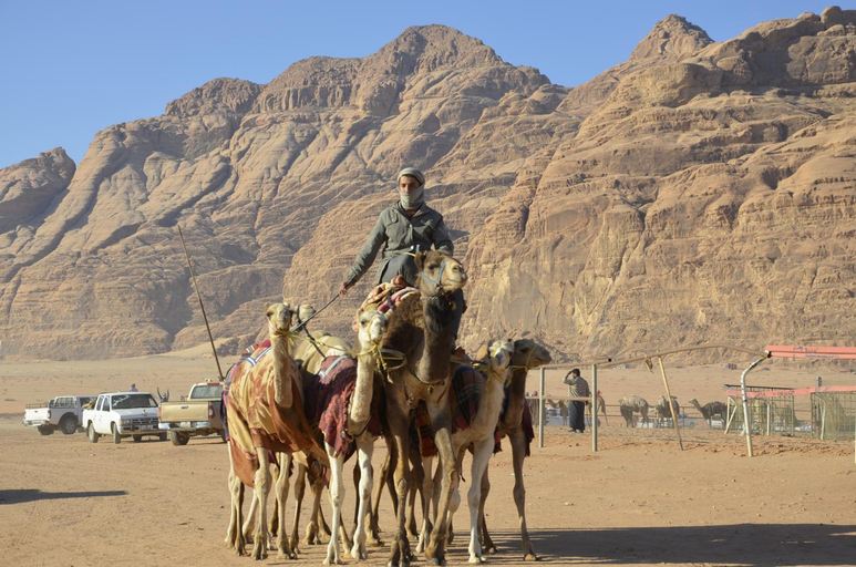 Others 5, Desert Rose Camp Wadi Rum, Aqaba