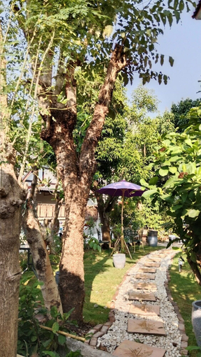 Others 5, P.S. Place, Muang Chiang Mai