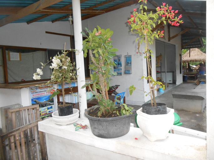 Public Area, Sari Laut Gili Meno, Lombok