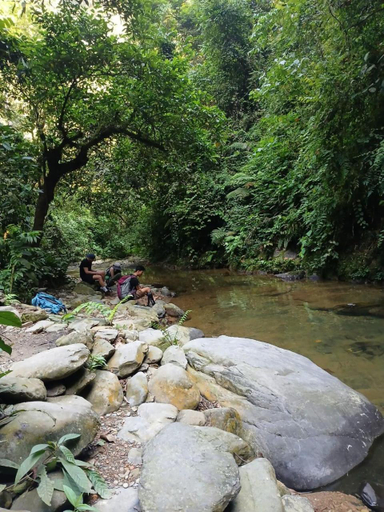 Others 2, Wild Paradise Guest House & Jungle Trekking Only Booking With Us, Langkat