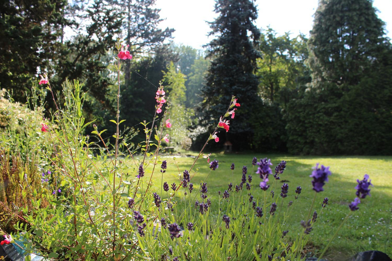 Others 5, Le Refuge des Libellules, Oise