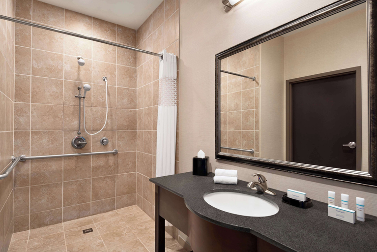 Bathroom 4, Hampton Inn & Suites Mansfield, Tioga