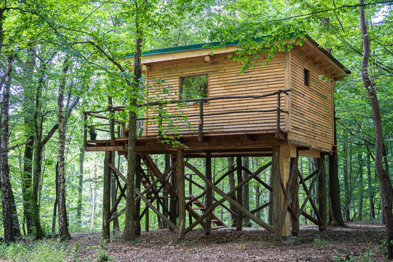 Exterior & Views 5, Living Forest Resort, Moravske Toplice