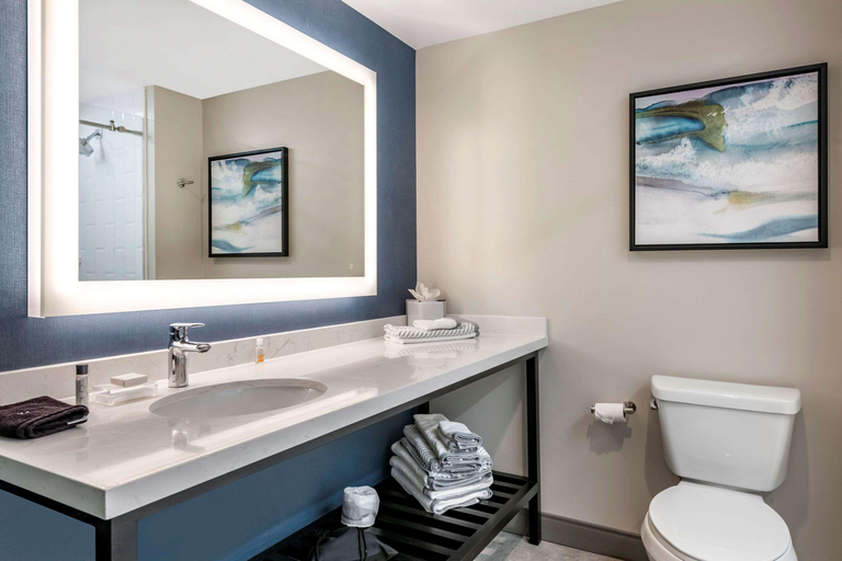 Bathroom 4, Cambria Hotel Orlando Airport, Orange