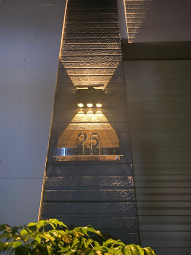 Others 3, cuc cu homestay 5, Kiến An