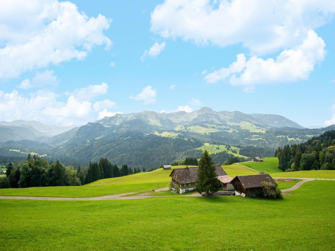 Others 5, Dog-friendly chalet in Bregenzerwald, Bregenz