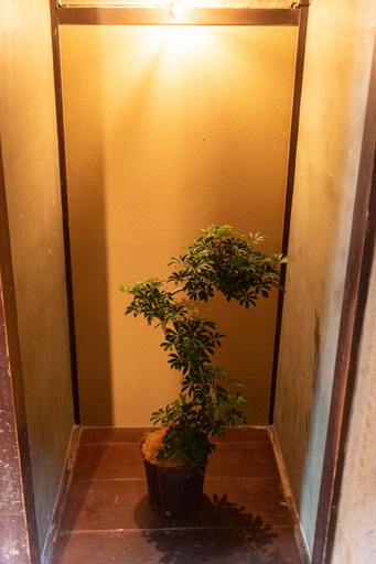 Others 1, 篠山城下町ゲストハウス inosica, Sasayama