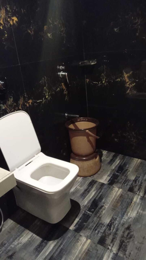Bathroom, HOTEL ROYAL PALACE, Mumbai Suburban