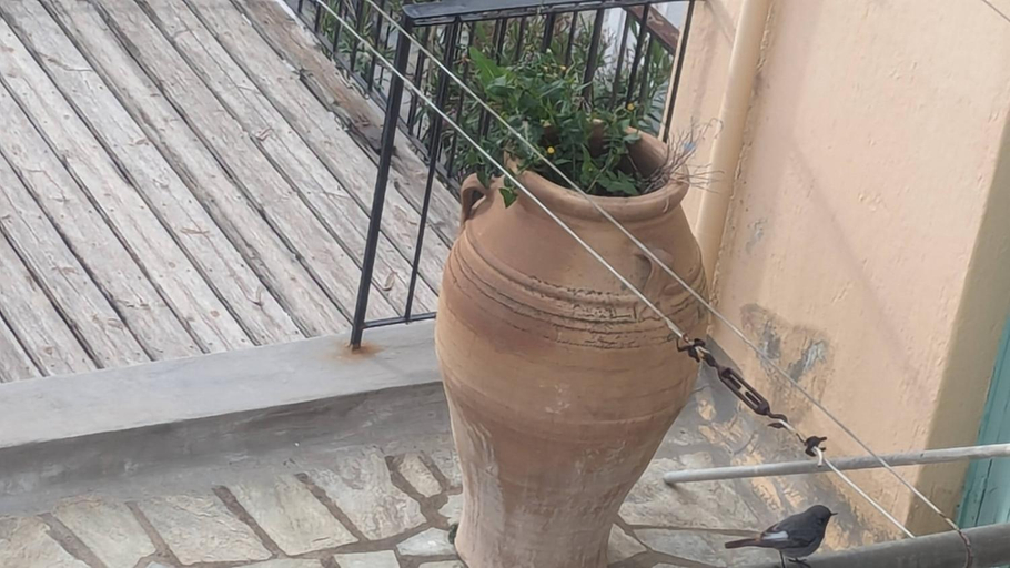 Others 2, The Botanist Guesthouse, Thessaly