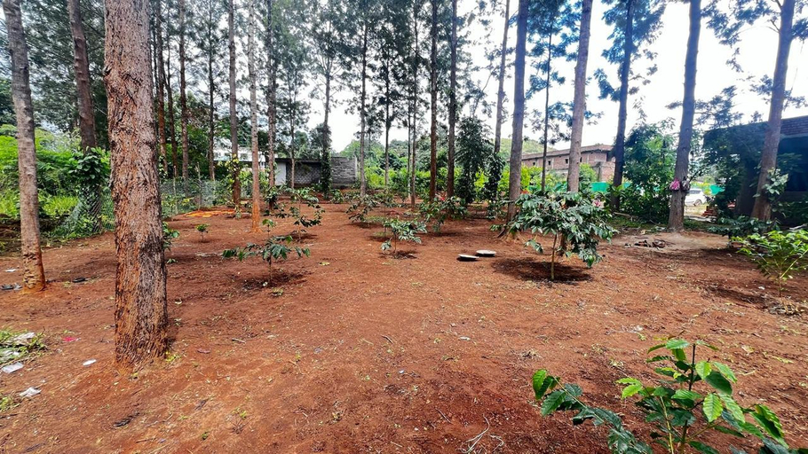 Others 3, Casa Woods Resort @ Araku Valley, Visakhapatnam