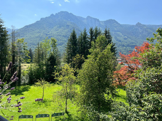 Others 3, Esterer, Salzburg Umgebung