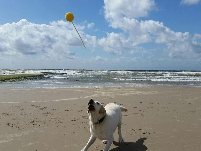 Others 5, Schittering van de Zee, Vorpommern-Rügen