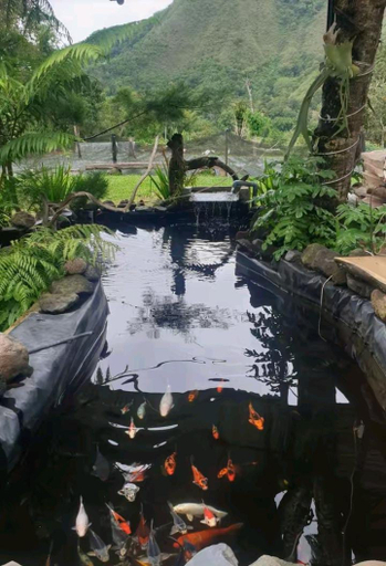 Garden 2, Datu Villa Sembalun, Lombok
