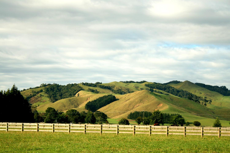 Others 5, Lexington Park Cottages, Waipa