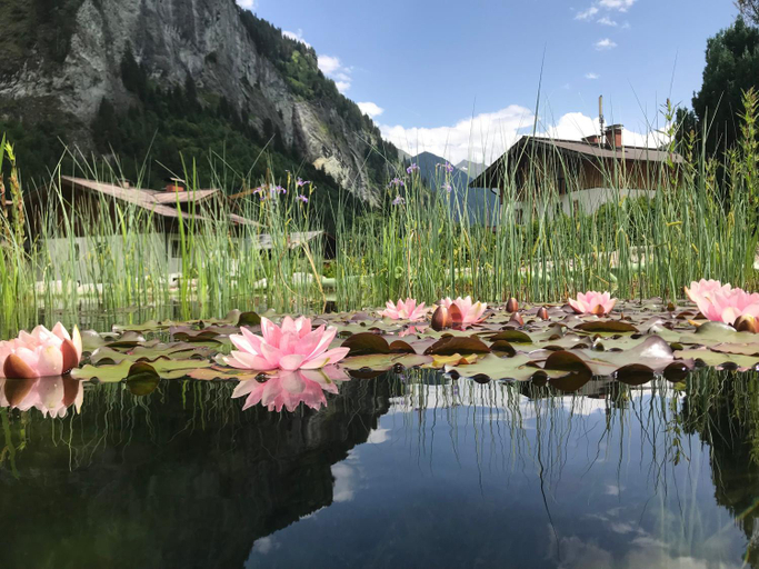 Others 4, Aparthotel Almrosl im Großarltal, Sankt Johann im Pongau