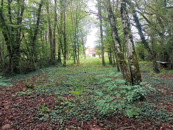 Others 3, Suite Balneo en bord de foret, Allier