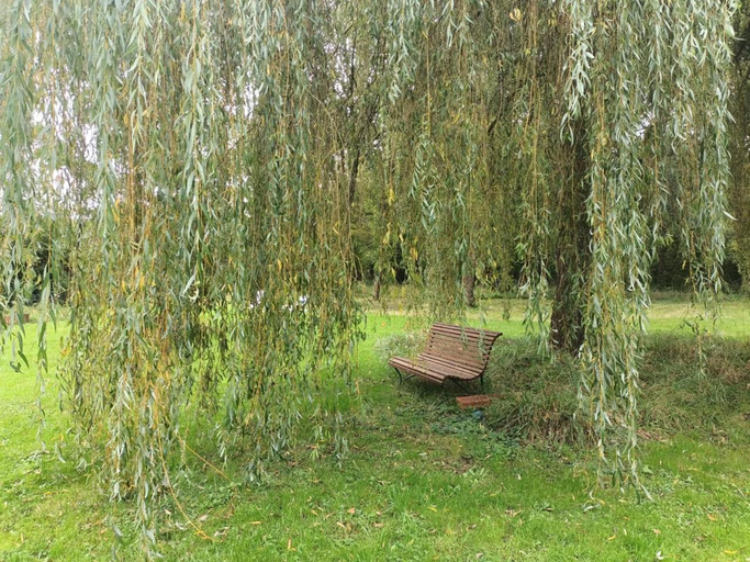 Others 4, Suite Balneo en bord de foret, Allier